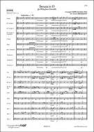 Sonata In D 