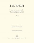 Jesu, der du meine Seele 