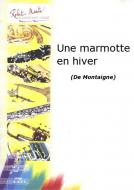 Une marmotte en hiver 
