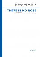 There Is No Rose 