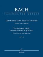 Der Himmel lacht, die Erde jubilieret 