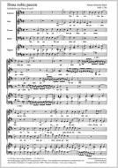 Dona nobis pacem 