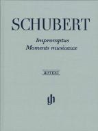 Impromptus and Moments Musicaux 