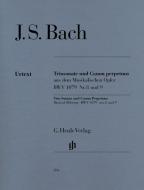 Trio Sonata and Canon Perpetuus from the musical offering 
