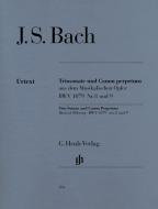 Trio Sonata and Canon Perpetuus from the musical offering 