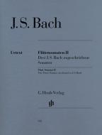 Flute Sonatas 2 