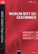 Warum bist du gekommen 