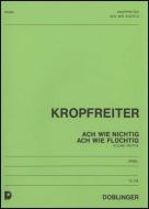 Ach wie nichtig, ach wie flüchtig 