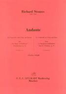 Andante from 'Le Bourgeois Gentilhomme' 