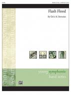 Flash Flood Standard