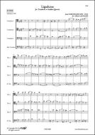 Ligaduras 