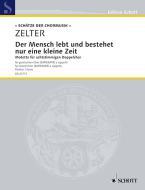 Der Mensch lebt und bestehet nur eine kleine Zeit Standard