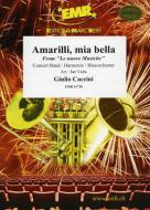 Amarilli, mia bella Standard