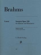 Sonatas op. 120 