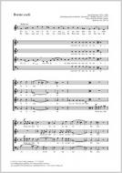 Rorate Coeli in F major WAB 40 Standard