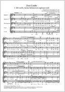 Gottwald/Mussorgskij: Zwei Lieder 