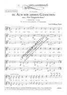 Ach, wir armen Gänschen 