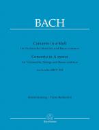 Concerto in A minor (after BWV 593) Standard