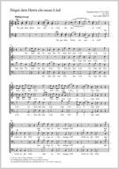 Singet dem Herrn ein neues Lied 24, 3 Standard