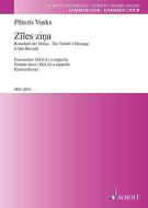 Ziles zina Standard
