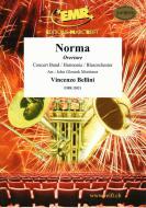 Norma Standard