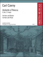 Andante e Polacca E-Dur 