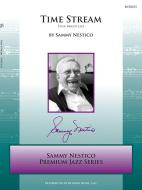 Time Stream Standard