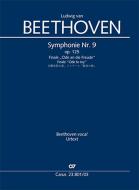 Symphony no. 9, final chorus - Ode To Joy 