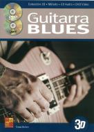 La Guitarra Blues En 3D 