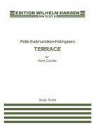 Terrace in 5 Stages 