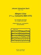 Allegro G-Dur 