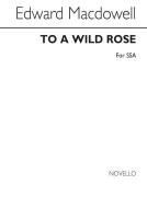 To A Wild Rose 