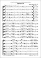 Salve Regina Standard