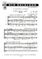 Ecce lignum crucis 2 