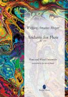 Andante for Flute and Orchestra KV 315 Standard