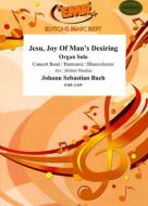 Jesu bleibet meine Freude Download