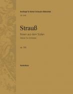 Rosen aus dem Süden op. 388 