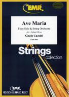 Ave Maria Download