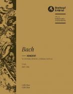 Konzert in f-moll BWV 1056 