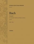 Konzert in g-moll BWV 1058 