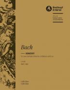 Konzert in c-moll BWV 1060 