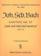 Geist und Seele wird verwirret 