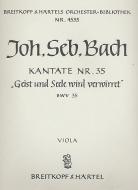Geist und Seele wird verwirret 