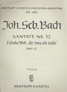 Falsche Welt, dir trau ich nicht 