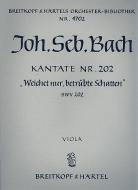 Weichet nur, betrübte Schatten 