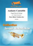 Andante Cantabile Download
