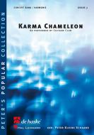 Karma Chameleon 