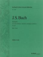 Konzert in d-Moll BWV 1043 