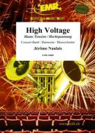High Voltage Standard