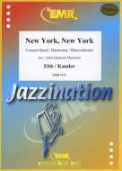 New York, New York Standard